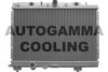 AUTOGAMMA 102943 Radiator, engine cooling